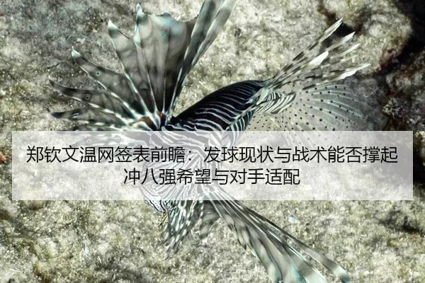 郑钦文温网签表前瞻：发球现状与战术能否撑起冲八强希望与对手适配
